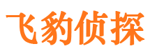 瓜州市私家侦探